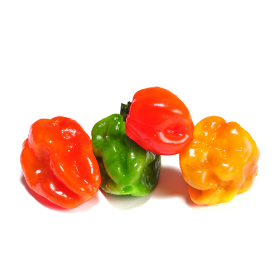 Chile Habanero